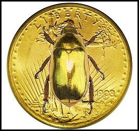 Gold Bugs; Bullish Reversal Pattern At Support