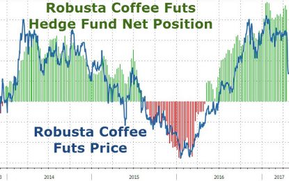 Coffee Carnage Crushes Hedge Funds Amid Record Bullish Positioning