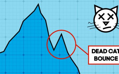 Dead Cat Bounce Definition: Day Trading Terminology