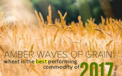 Commodities Halftime Report: Separating The Wheat From The Chaff