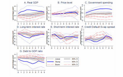 EC
                        
                        Asymmetries In Fiscal Policy, Again