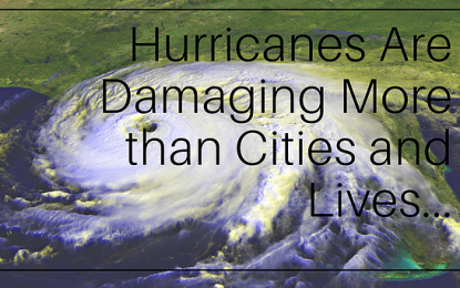 Hurricanes Are Damaging More Than Cities And Lives…