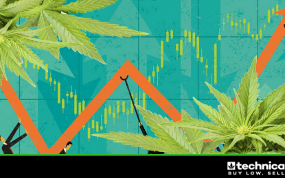 3 Canadian Cannabis Stocks Investors Need To Be Watching