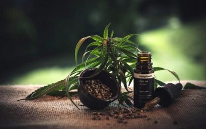 Regulatory concerns of investing in the CBD oil industry