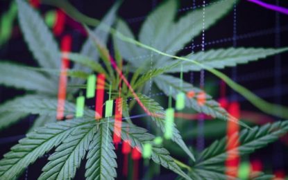 Should you invest in cannabis stocks? Diversify your trading portfolio