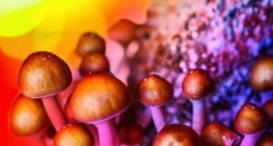 Psychedelic Drug Stocks Index Declined 1.6% This Week