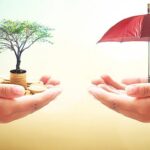Why senior citizens should buy term insurance