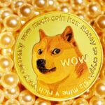 Elliott Wave Technical Analysis: Dogecoin Crypto Price News For Wed, May 22